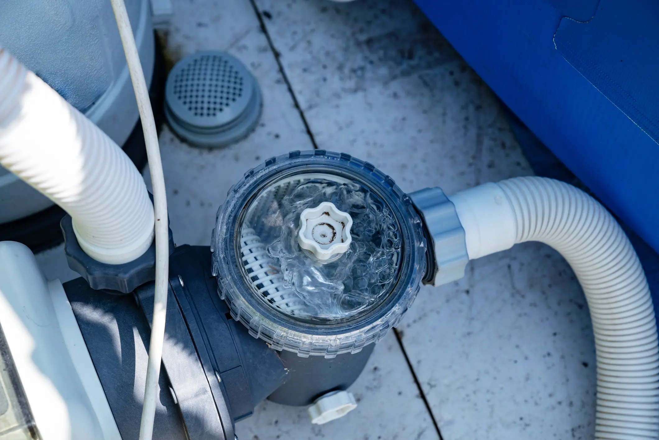 Pool pump strainer with clear lid and hoses circulating water, professional pool maintenance
