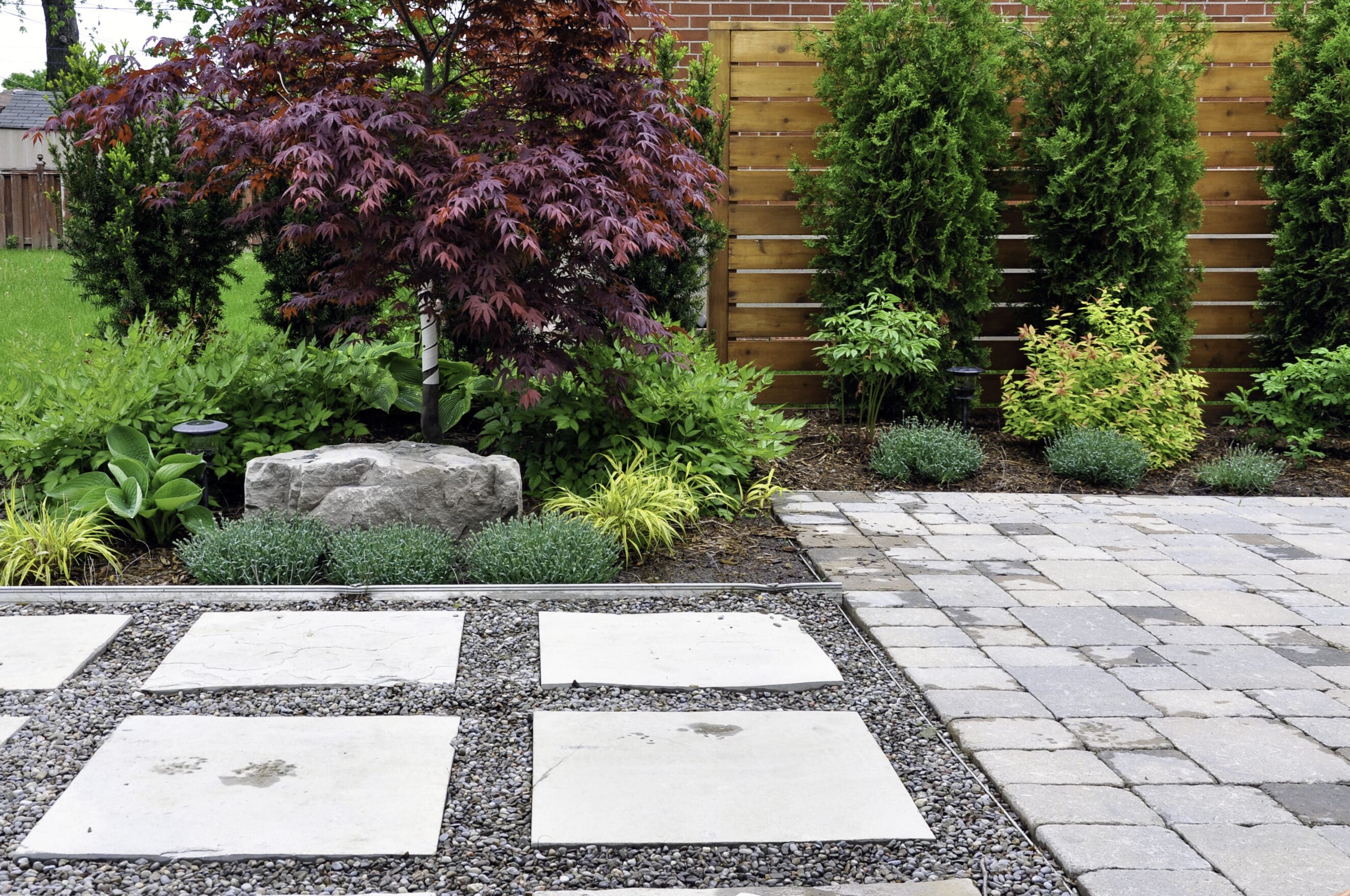 Modern backyard patio with pavers, stepping stones, rock, and landscaped plants